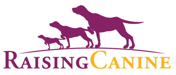 Raising Canine